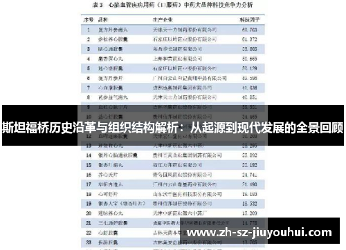 斯坦福桥历史沿革与组织结构解析：从起源到现代发展的全景回顾