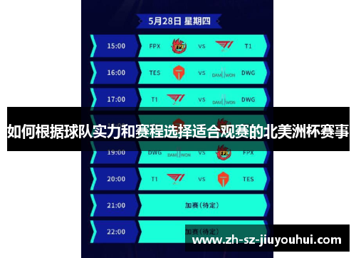 如何根据球队实力和赛程选择适合观赛的北美洲杯赛事 如何根据球队实力和赛程选择适合观赛的北美洲杯赛事