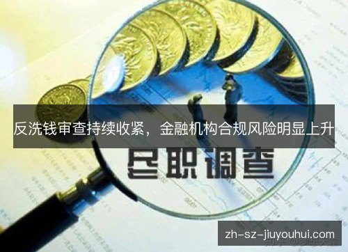 反洗钱审查持续收紧,金融机构合规风险明显上升 反洗钱审查持续收紧,金融机构合规风险明显上升